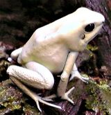 �ƥ�ӥꥹ�ߥ��