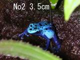 azureus09262