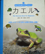 �ӥ��ʡ��������ɥ�����