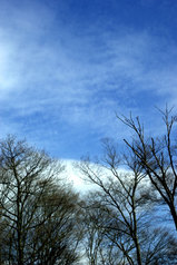 ����饤��6