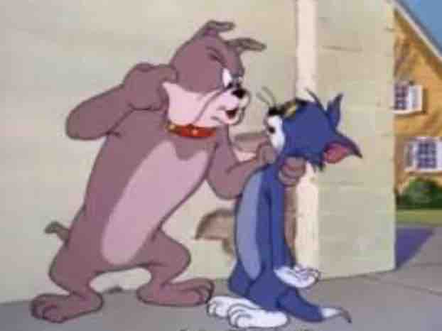 名前の由来 Wile E Dog Felix The Dog 名前の由来 Wile E Dog Felix The Dog