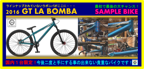 GT_LABOMBA_SAMPLE