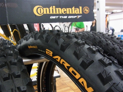 RIMG1508