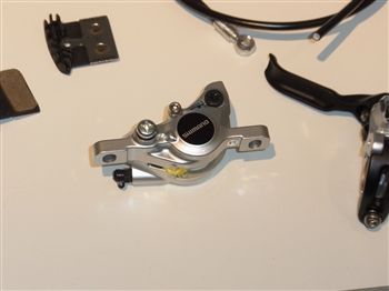 RIMG2909