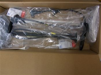 RIMG0021