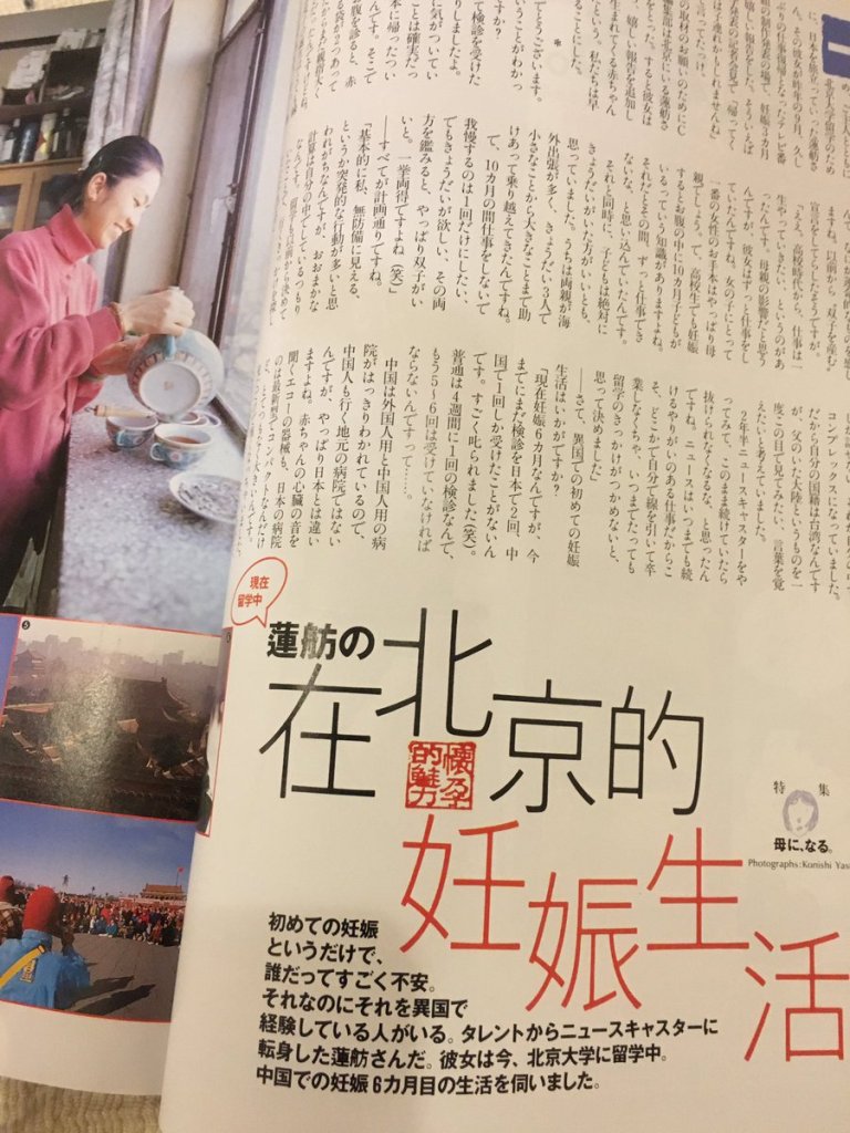 フェイクニュース 蓮舫編 どぶろぐ フェイクニュース 蓮舫編 どぶろぐ
