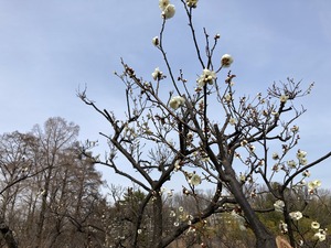 IMG_0297