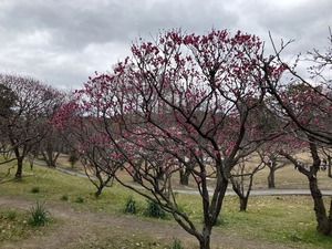 IMG_0359