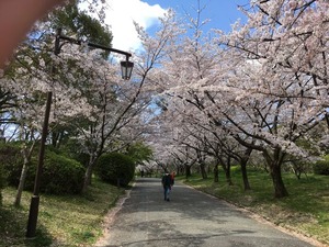IMG_0190
