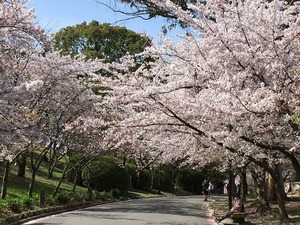 IMG_0282