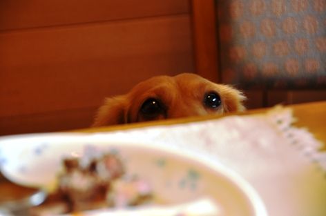 朝食3