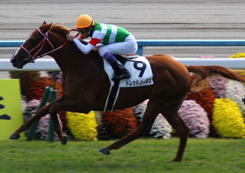 【京都2歳ステークス】ドレッドノータス強すぎワロタwwwコメントする スーパーホースマン