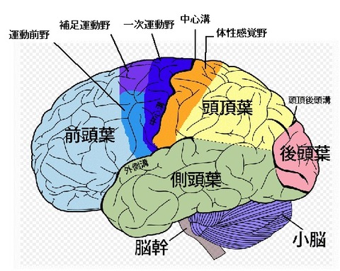 o0566045210892859250
