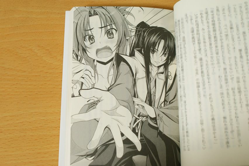 織田信奈の野望 ２巻 とドラマcd 春日 みかげ みやま 零 読書感想記録 Wind Wing 読書感想記録
