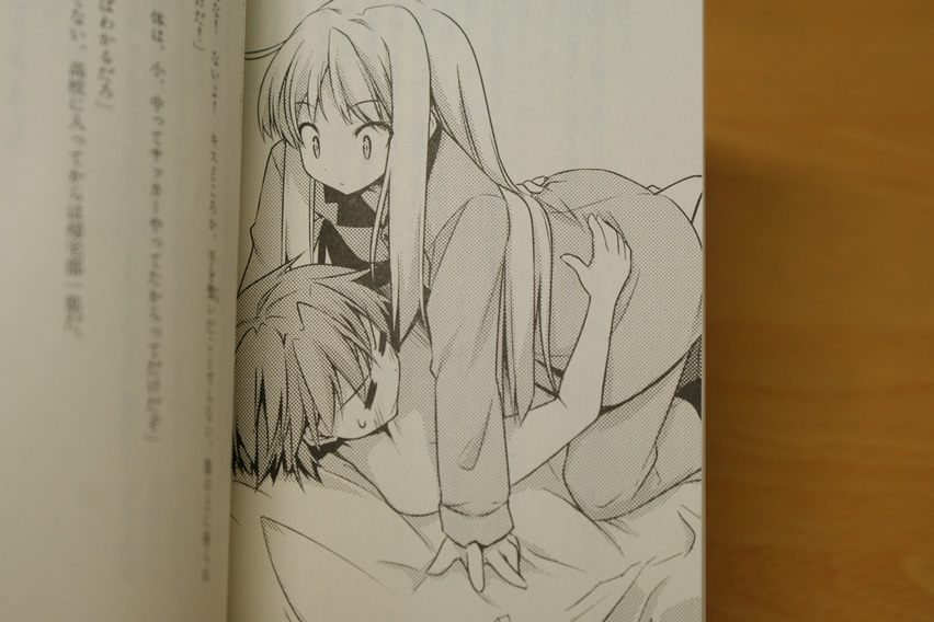 さくら荘のペットな彼女 鴨志田一 溝口ケージ 感想記録 Wind Wing 読書感想記録