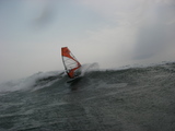 IMGP6317