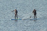 3e76815d.jpg