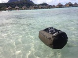 IMG_2395 (1024x768)