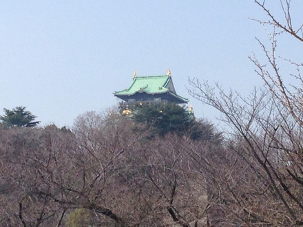 2015-03-17-11-04-53