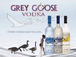 goose 2