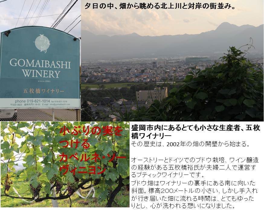 岩手に行こう ワインと観光で応援する岩手旅行記 ワインツーリズム 岩手 東京ワインライフ Wine Room Tokyo 岩手に行こう ワインと観光で応援する岩手旅行記 ワインツーリズム 岩手 東京ワインライフ Wine Room Tokyo