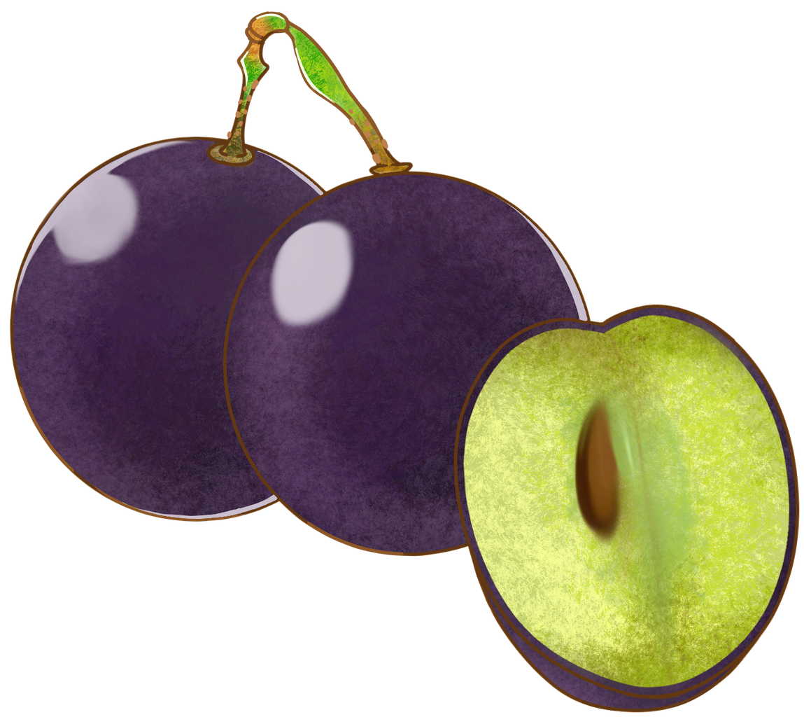 ワイン用のブドウに何が含まれている 成分 平成生まれ ワイナリー立ち上げを目指す