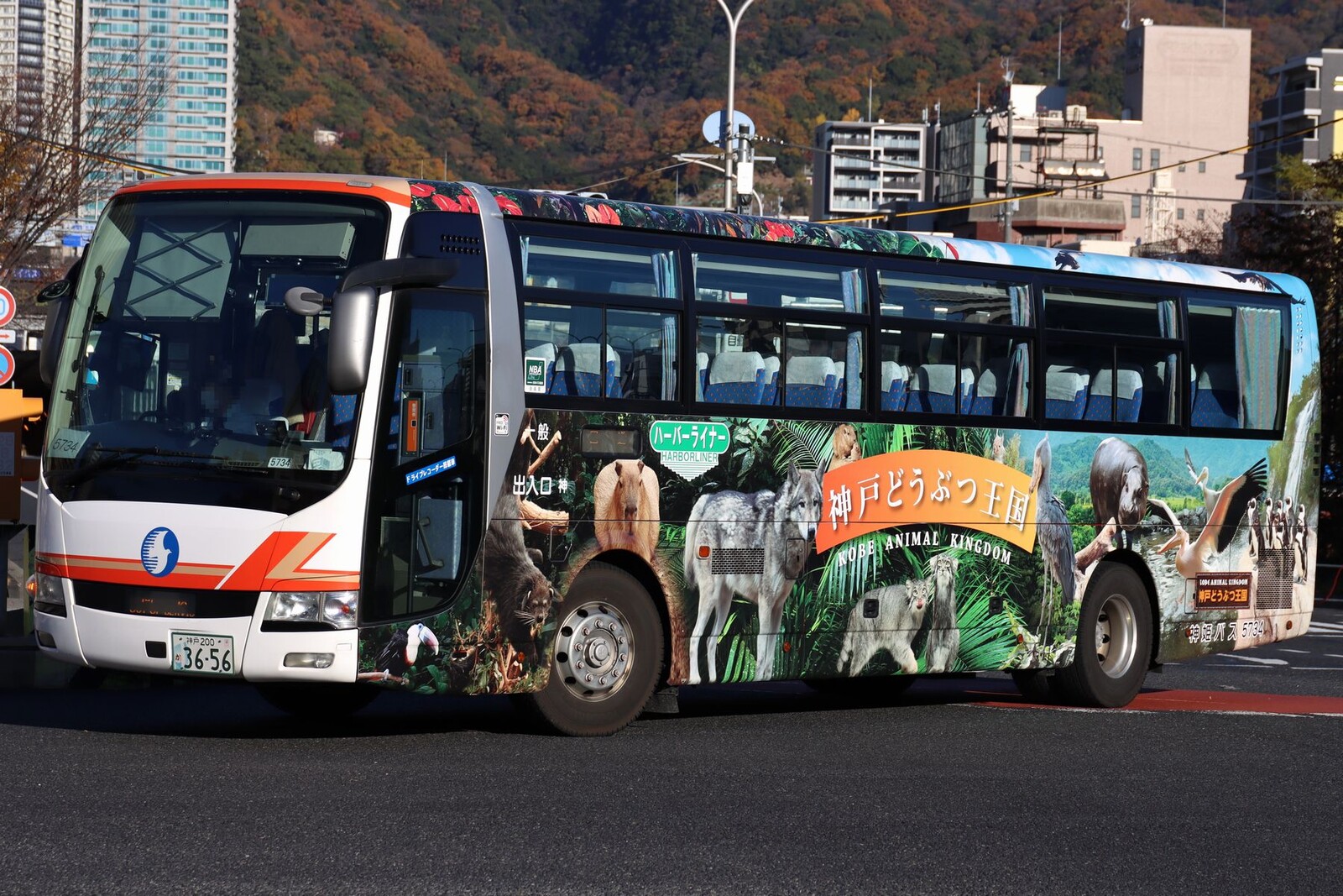 神姫バス 5734 : 海峡を越えた先には