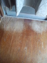 028e1405.jpg
