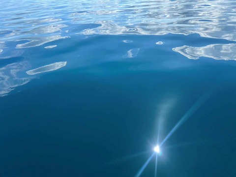 S__122937382_0