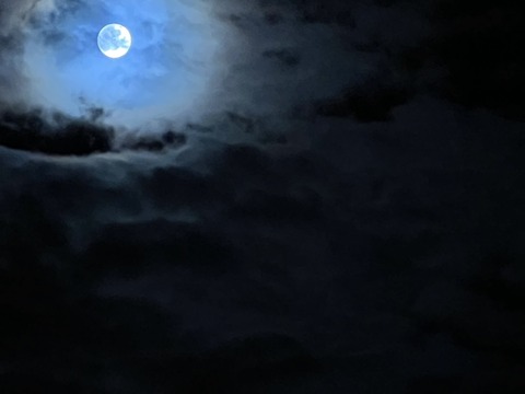 S__122937386_0