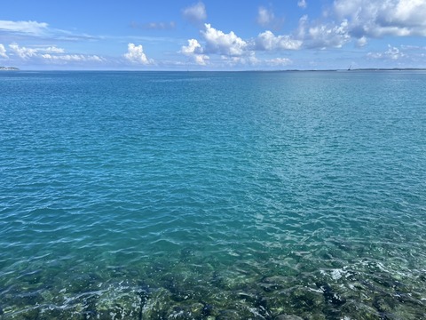 S__122937384_0