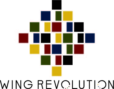 WR_icon_WINGREVOLUTION_color_WB