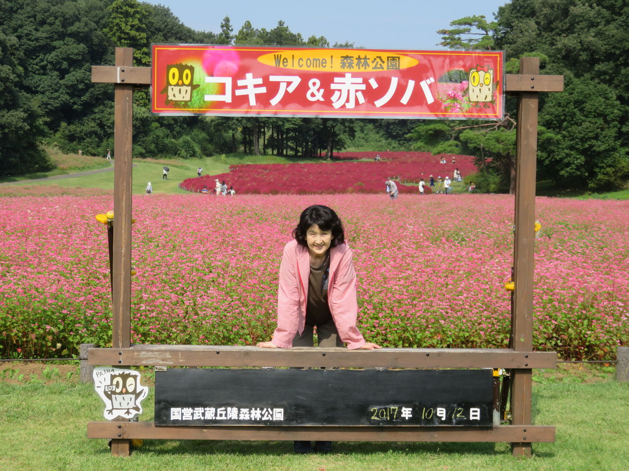 森林公園のコキア ほっしーボックス 森林公園のコキア ほっしーボックス