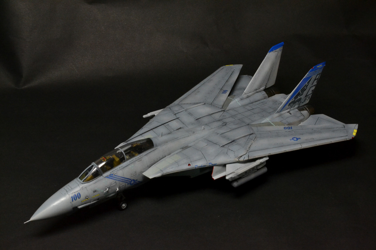 F-14B TOMCAT VF-143 PUKIN DOGS : WING9 Engage！