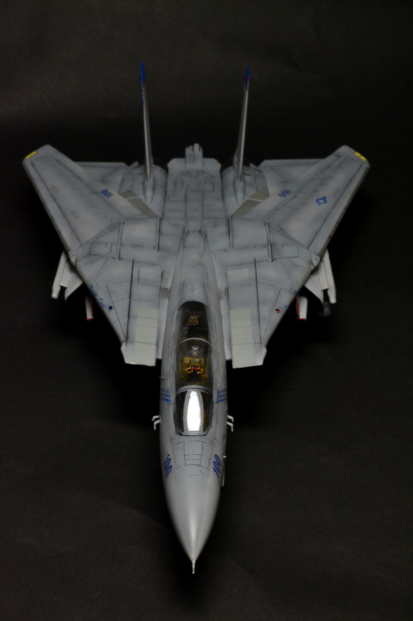 F-14B TOMCAT VF-143 PUKIN DOGS : WING9 Engage！