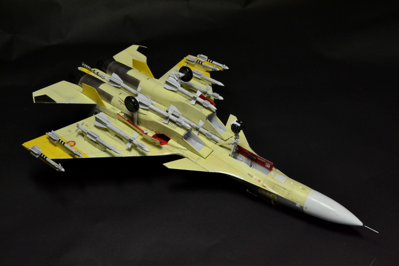 Su-33 エルジア空軍第156戦術戦闘航空団アクィラ 黄色の13 : WING9