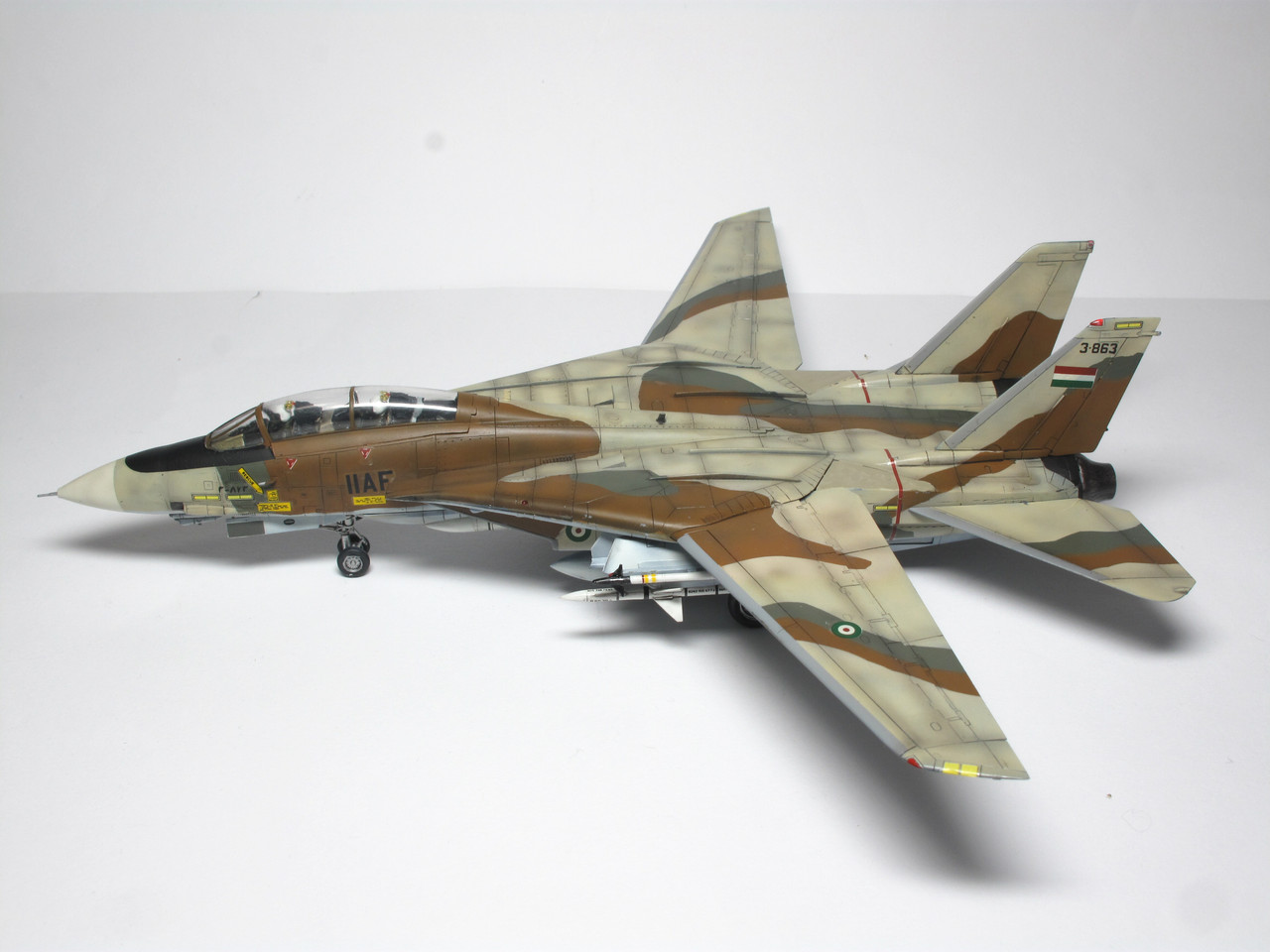 F 14a イラン革命空軍 Wing9 Engage