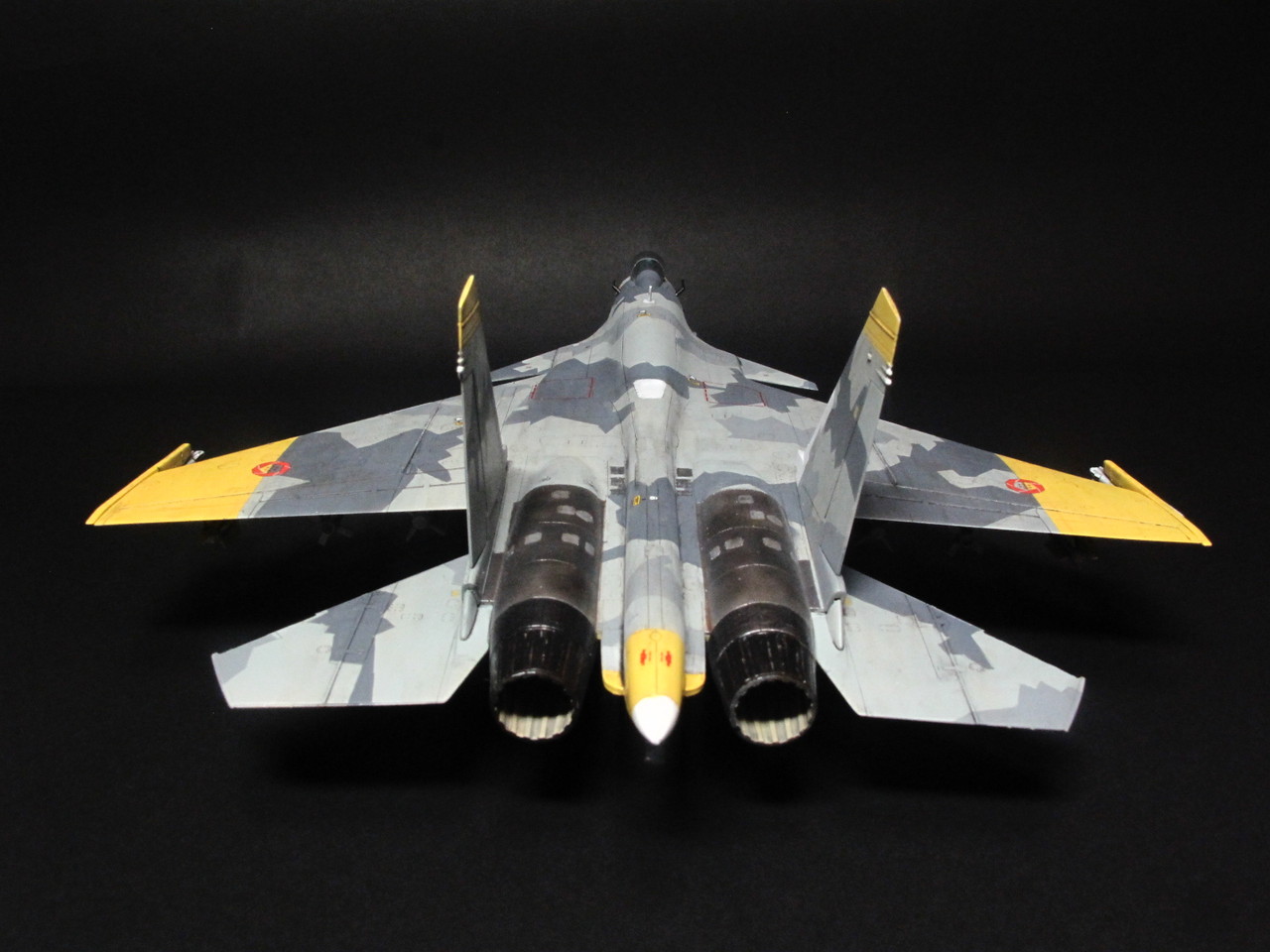 Su-33 エルジア空軍第156戦術戦闘航空団アクィラ 黄色の13 : WING9