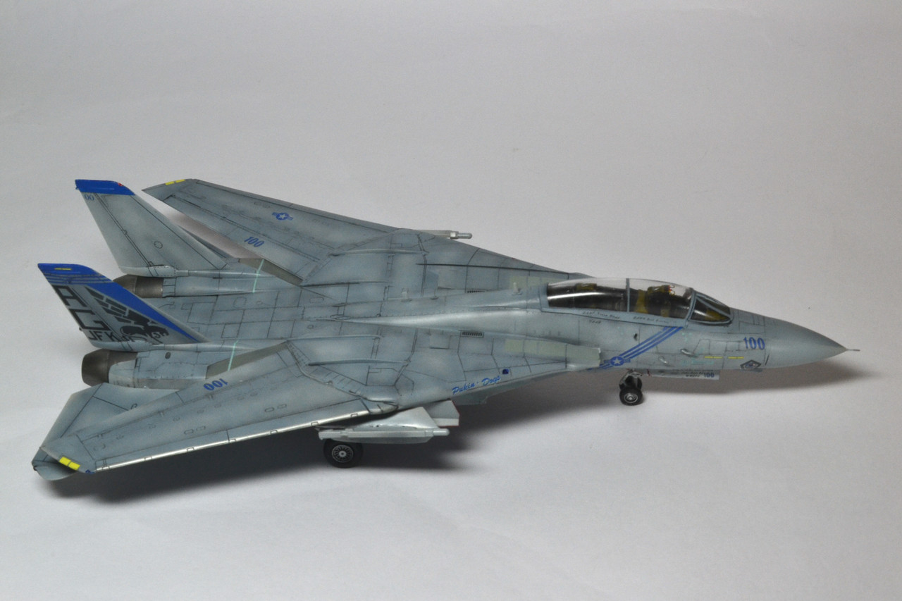 F-14B TOMCAT VF-143 PUKIN DOGS : WING9 Engage！