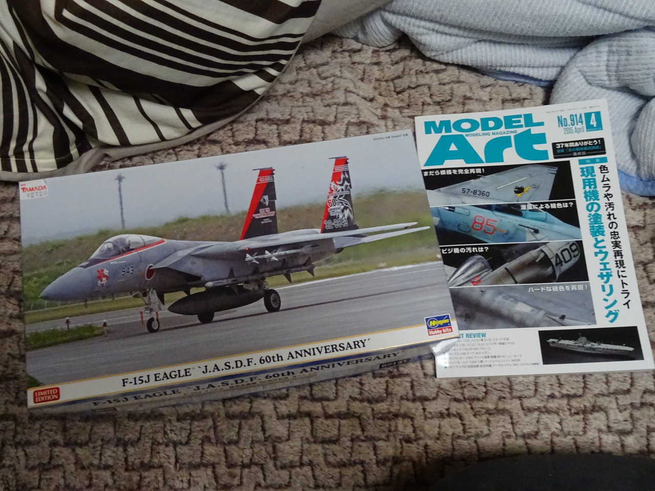 姫君の青い鳩・モデルアート＆WD現在進行状況 : WING9 Engage！