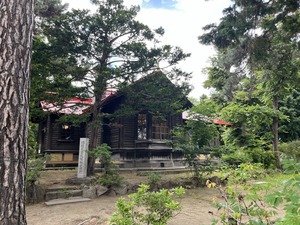 IMG_6866