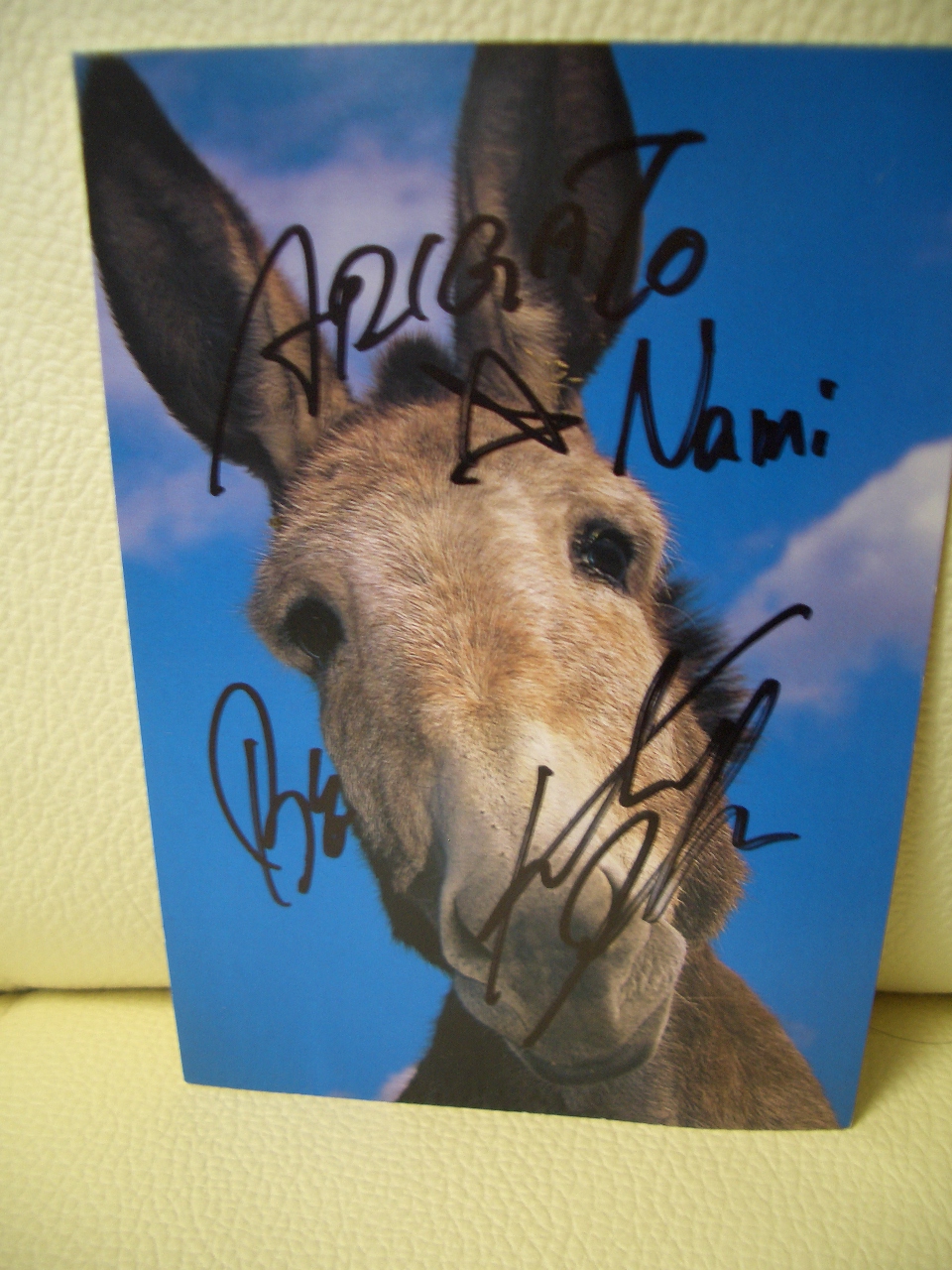 お返事がキタ━━━(*´∀｀*)━━━ !!!!! : MONSTER's