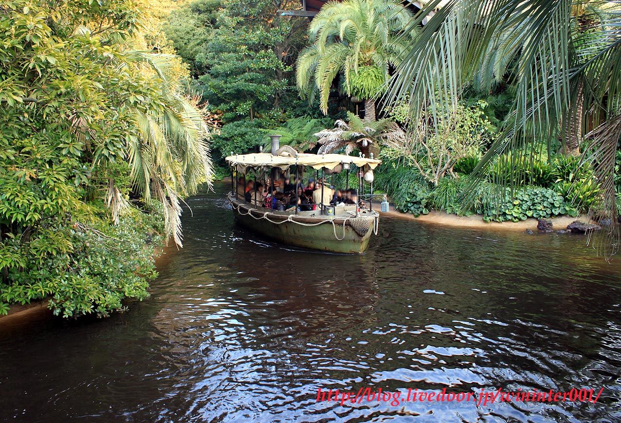 間もなく再開するジャングルの冒険 気になる 彼ら のその後は ｔｄｒな生活 Ooｏ
