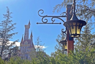 �̿� 2020-01-29 11 38 07