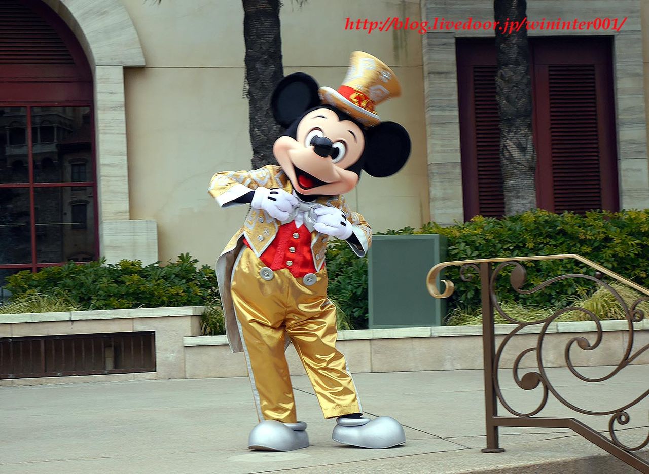 最安値 スペシャルフォト 金コス ハピネス ディズニー 最安値 スペシャルフォト 金コス ハピネス ディズニー 最安値