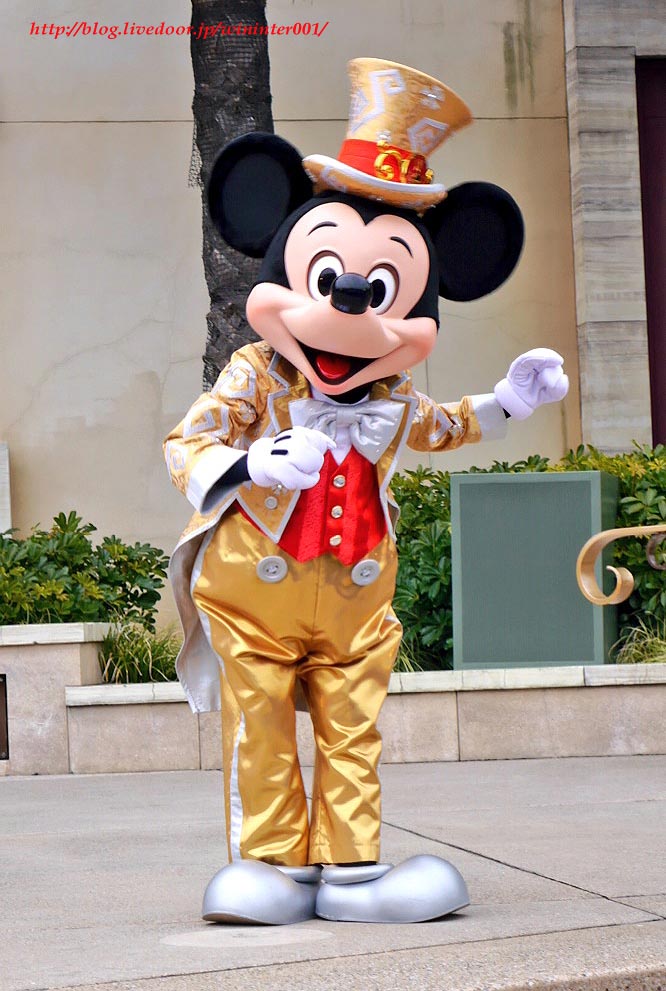 ディズニー 30周年 金コス ハピネスイズヒア ミッキー ミニー ドナルド