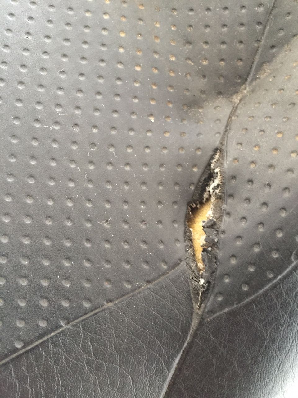 シート補修 Diyやバイクやなんちゃら