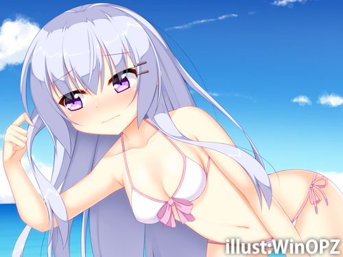 Request_haduki2015-ginpathu-mizugi_blog