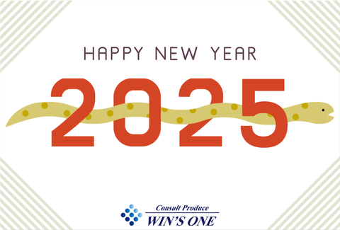 2025年巳年