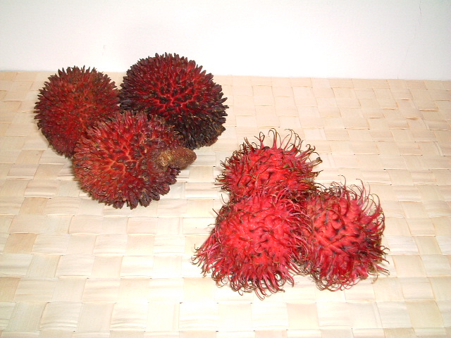 ランブータン Rambutan とプラサン Pulasan Living In Kuala Lumpur